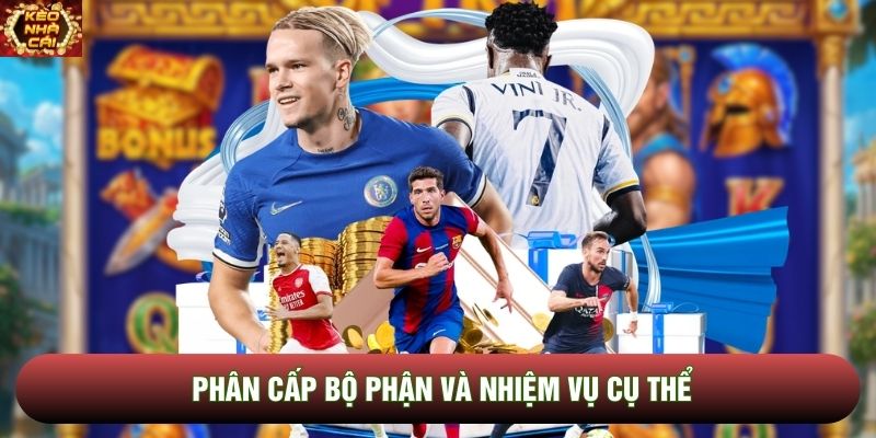 Phân cấp bộ phận và nhiệm vụ cụ thể Phân cấp bộ phận và nhiệm vụ cụ thể